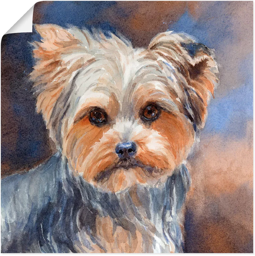 Artland Wandbild "Sadie Belle Yorkshire Terrier", Haustiere, (1 St.) günstig online kaufen