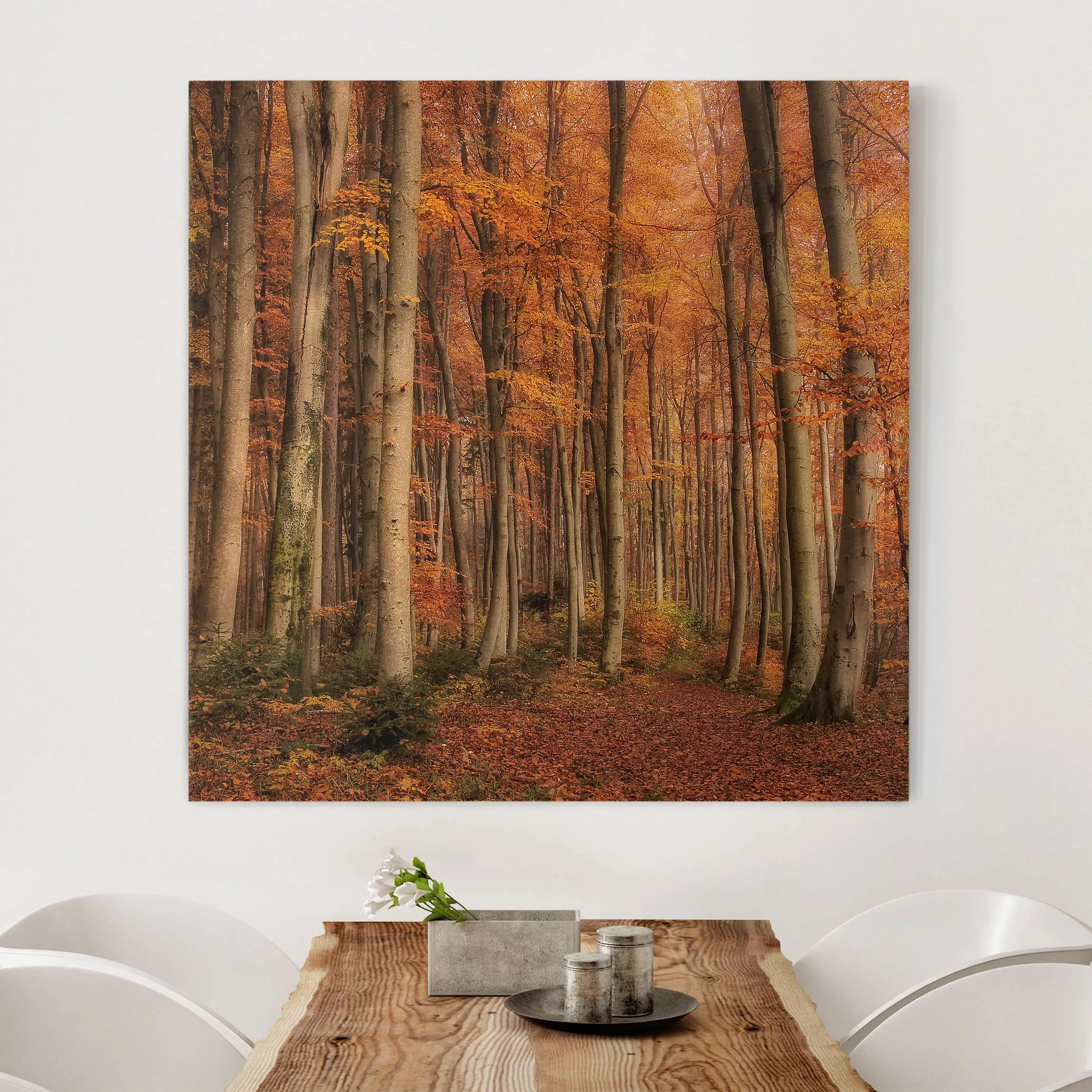 Leinwandbild Wald - Quadrat Herbstspaziergang günstig online kaufen