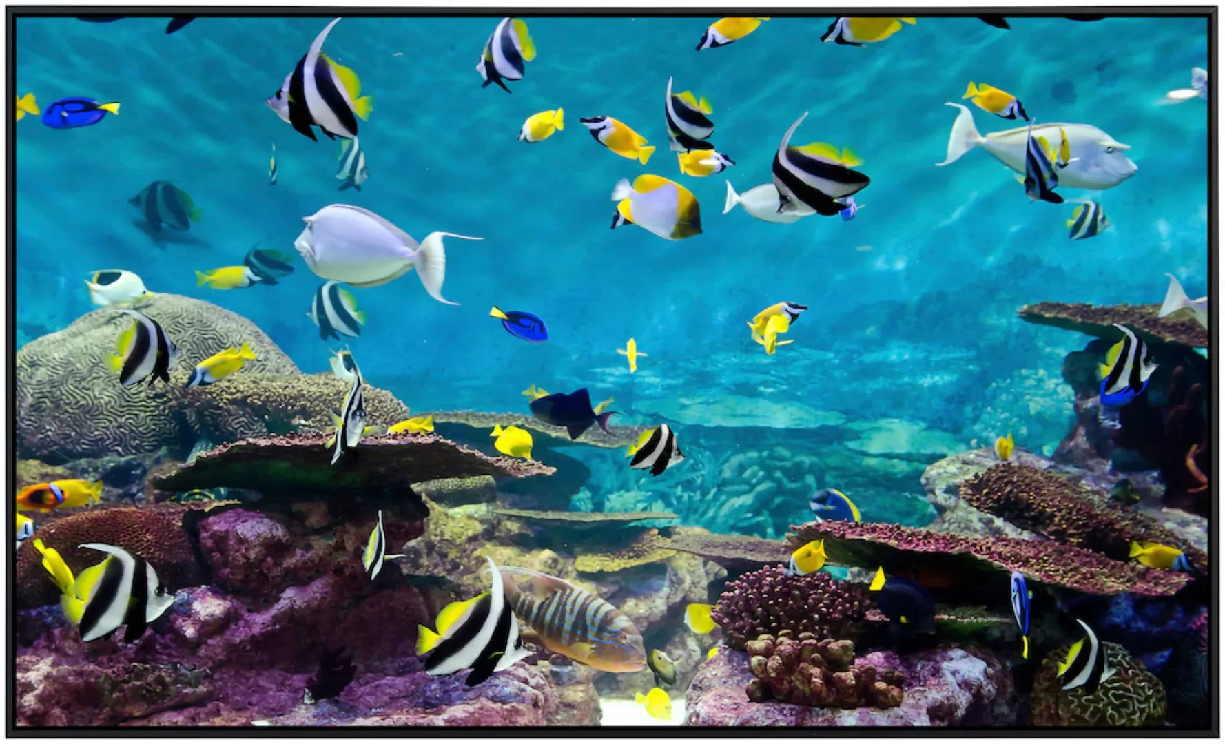 Papermoon Infrarotheizung »Fische«, sehr angenehme Strahlungswärme günstig online kaufen