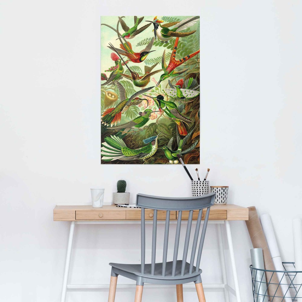 Reinders! Poster »Hummingbirds Vogel - Tiermotiv - Natur - Botanisch - Erns günstig online kaufen