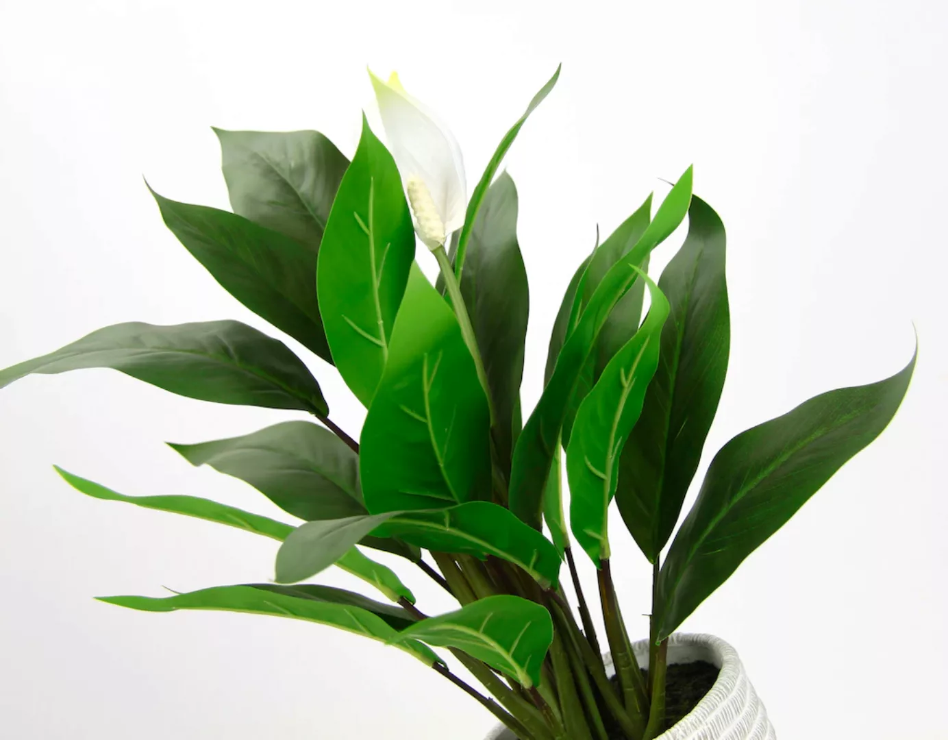 I.GE.A. Kunstpflanze "Spathiphyllum" günstig online kaufen