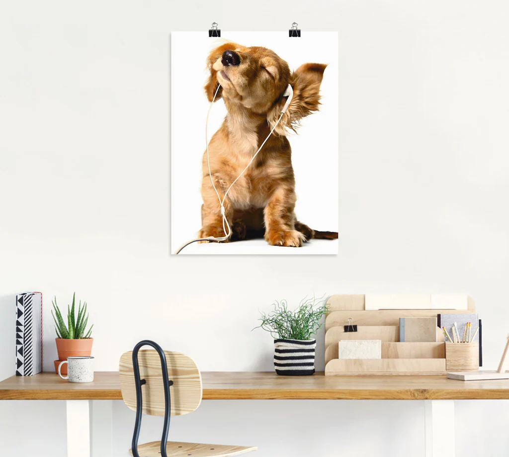 Artland Wandbild "Junger Hund hört Musik über Kopfhörer", Haustiere, (1 St. günstig online kaufen