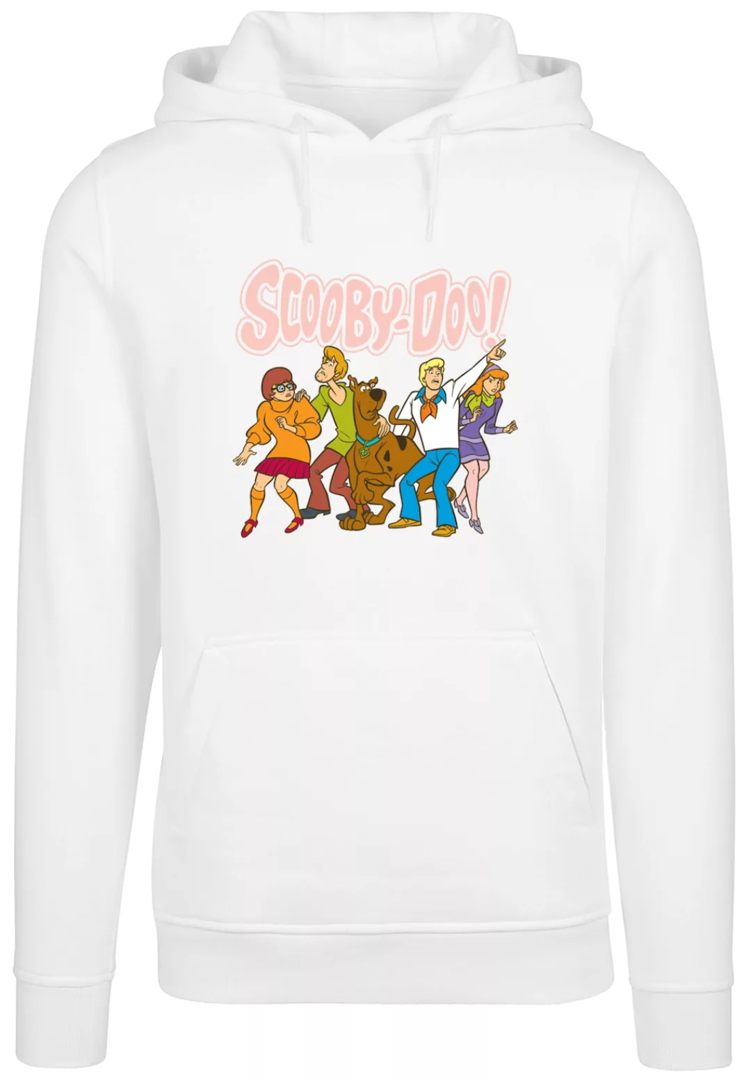 F4NT4STIC Sweatshirt "F4NT4STIC Herren Scooby Doo Classic Group with Heavy günstig online kaufen