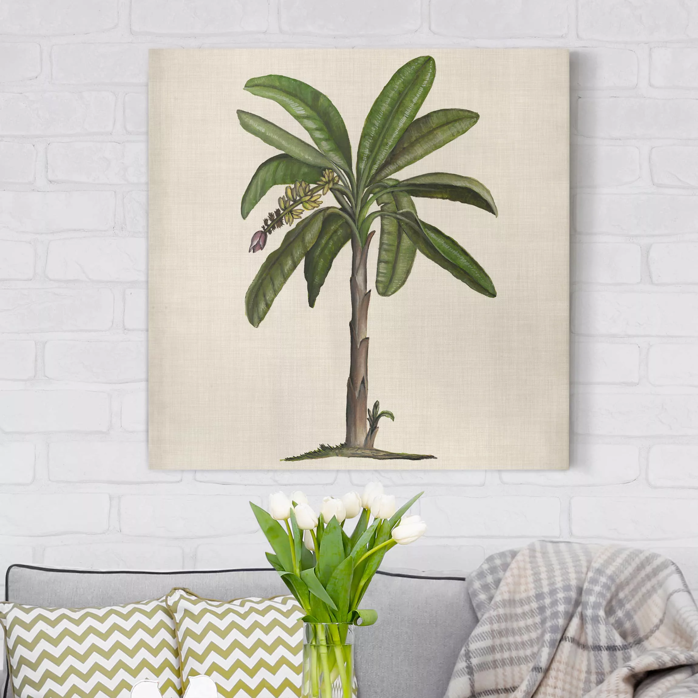 Leinwandbild Botanik - Quadrat Britische Palmen II günstig online kaufen