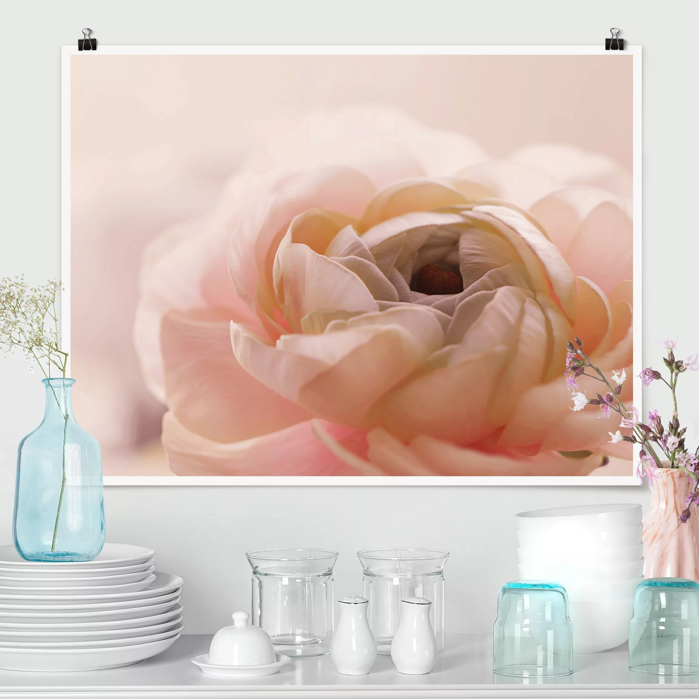 Poster Rosa Blüte im Fokus günstig online kaufen
