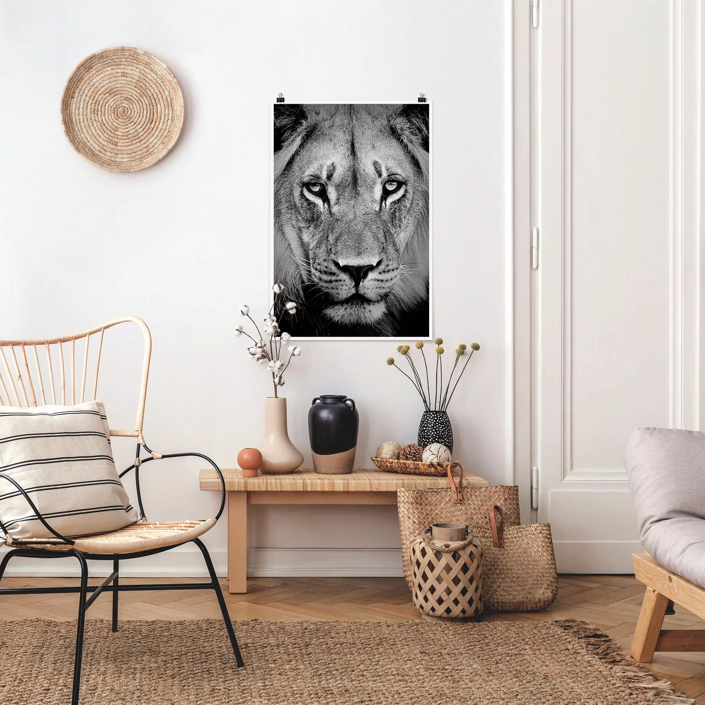 Poster Tiere - Hochformat Alter Löwe günstig online kaufen