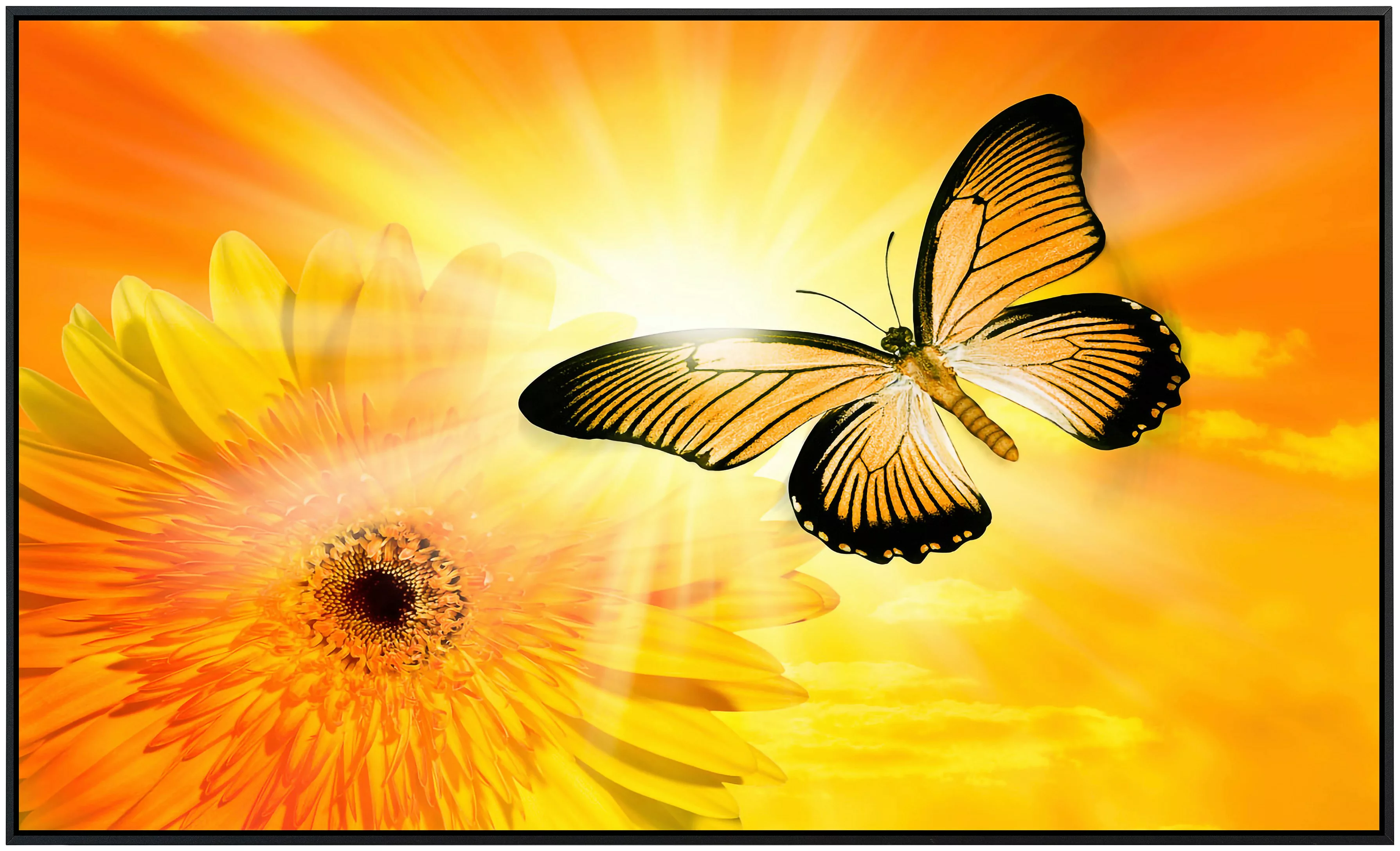 Papermoon Infrarotheizung »Schmetterling«, sehr angenehme Strahlungswärme günstig online kaufen