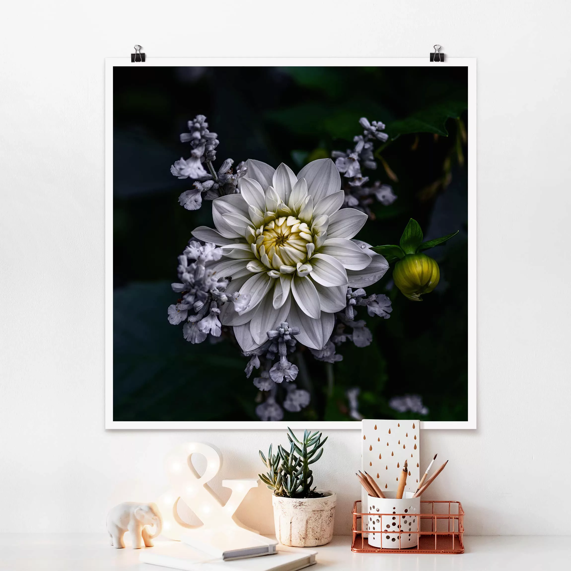 Poster Blumen - Quadrat Weiße Dahlie günstig online kaufen