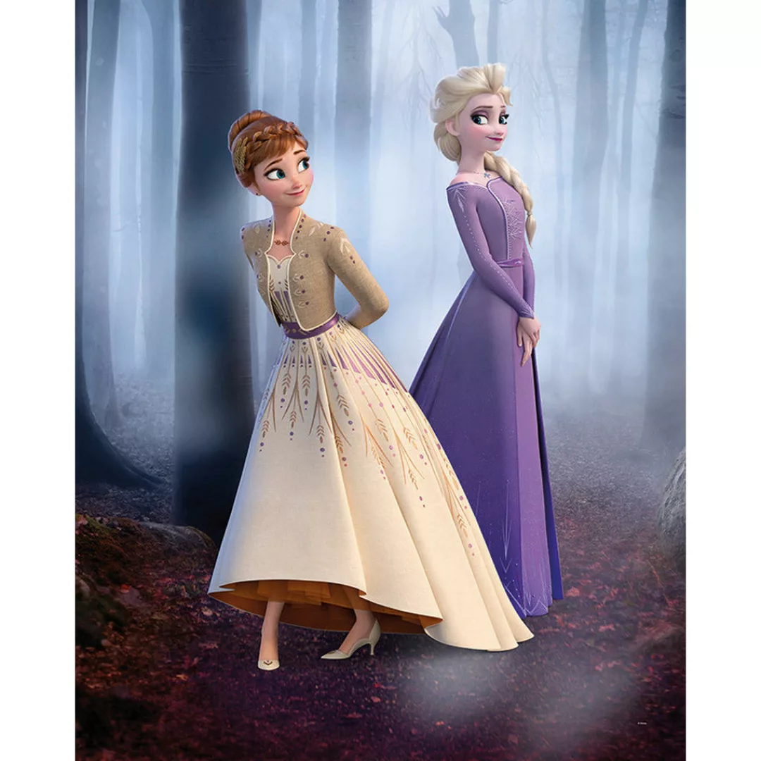 Komar Wandbild Frozen Wood Walk Disney B/L: ca. 40x50 cm günstig online kaufen