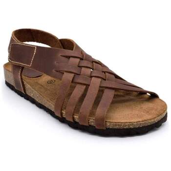 Interbios-Silvio  Sandalen 7203 Marrón günstig online kaufen