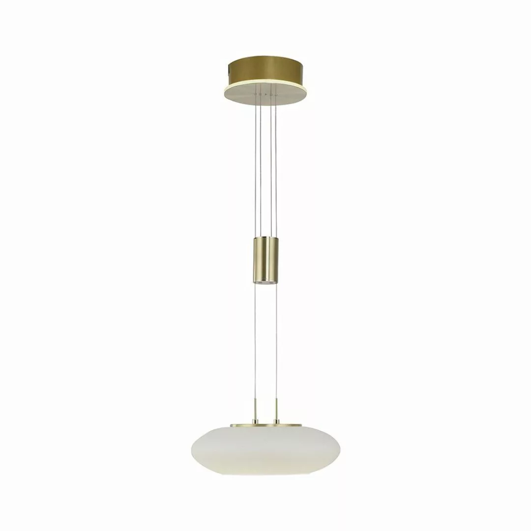 Paul Neuhaus Smarte LED-Leuchte LED Pendellampe günstig online kaufen