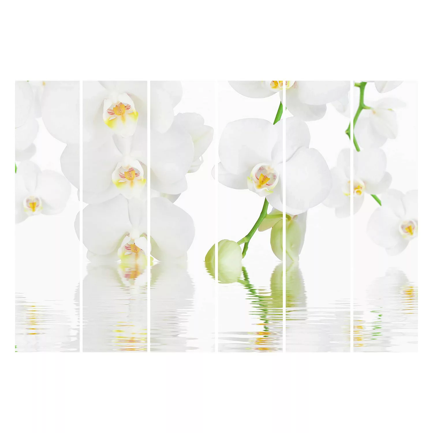 Schiebegardinen Set Blumen Wellness Orchidee günstig online kaufen