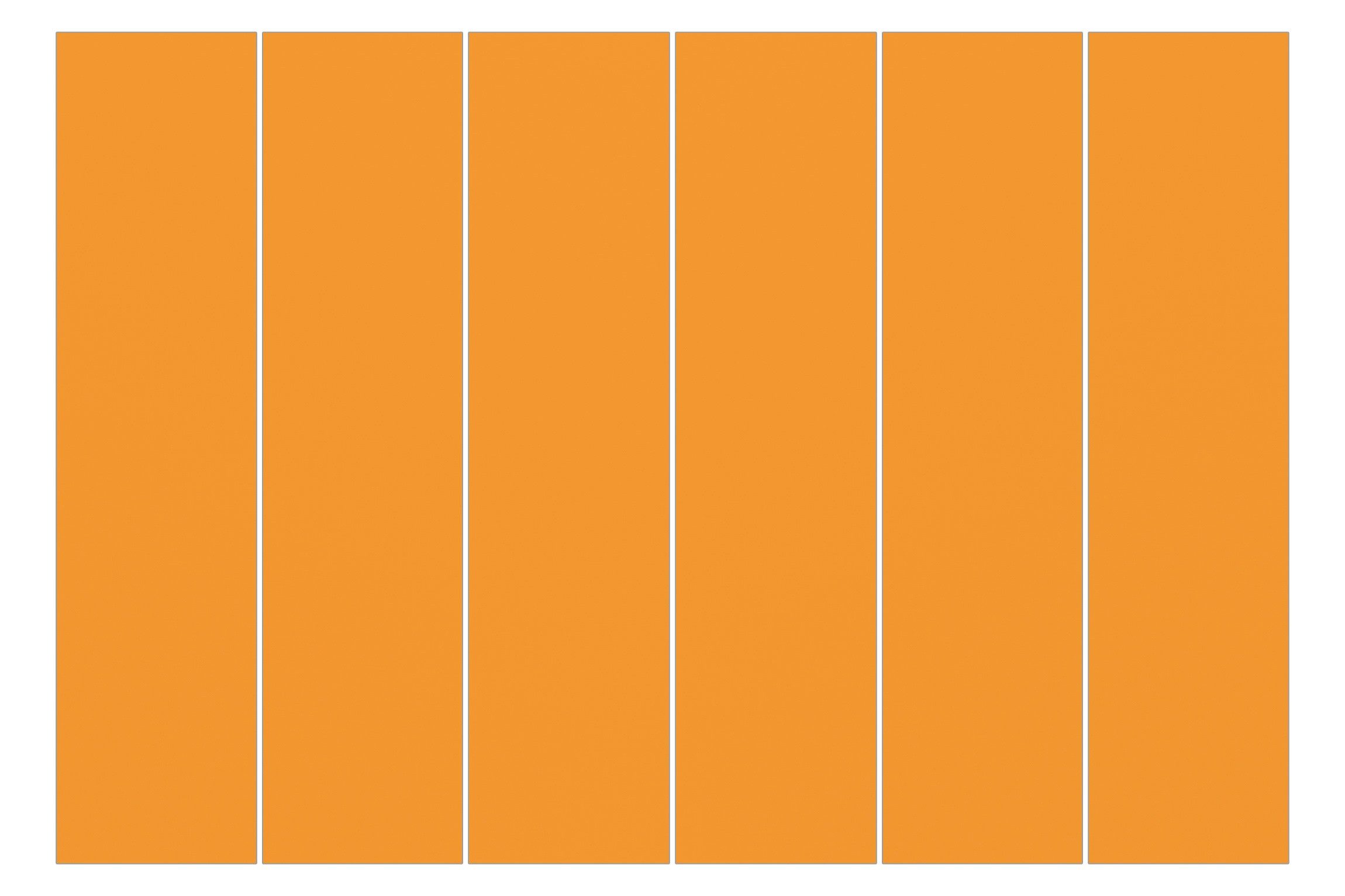 Bilderdepot24 Schiebegardine modern Flächenvorhang blickdicht Mango, günstig online kaufen