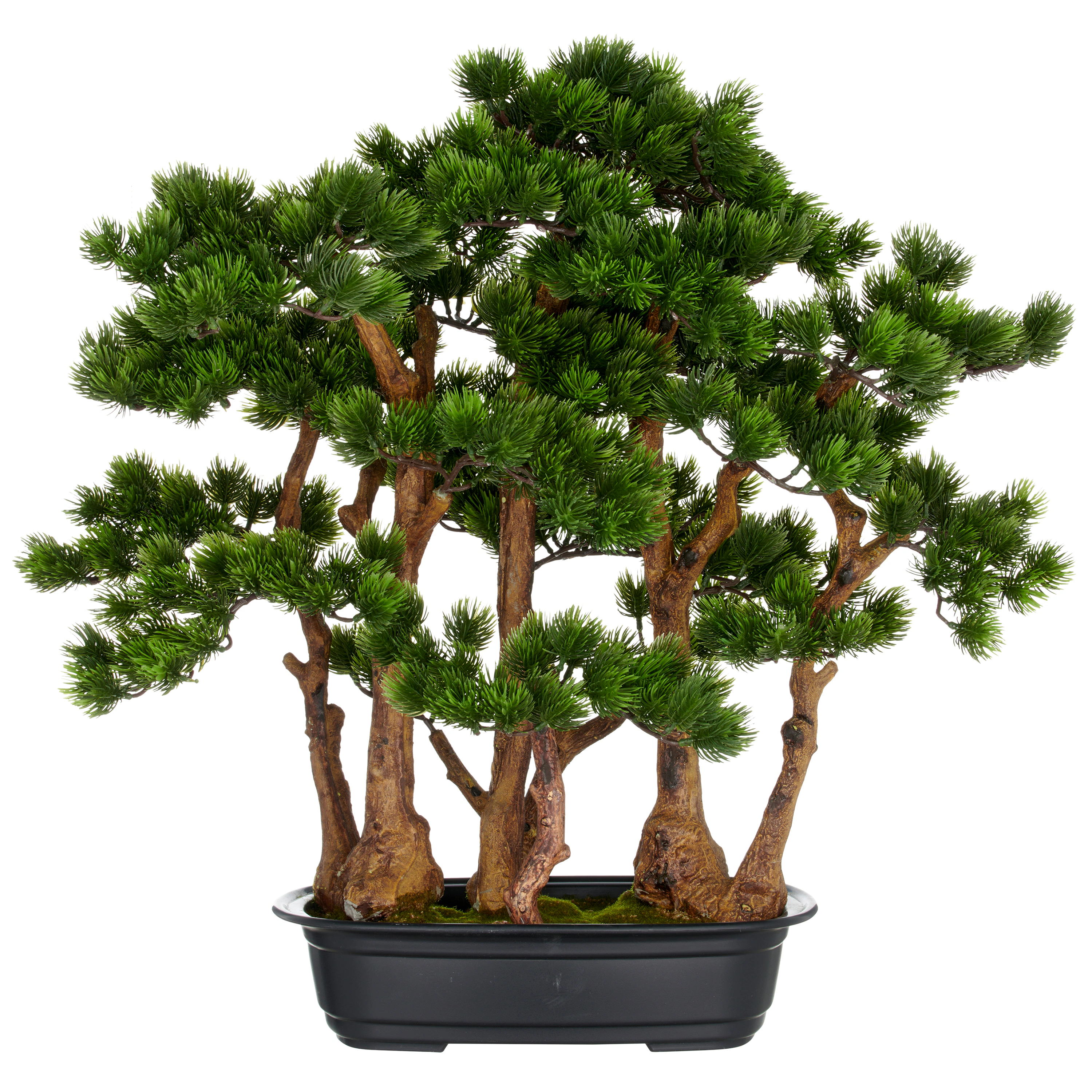 Creativ green Kunstbonsai "Bonsai Kiefer", mit detailgetreuer Gestaltung günstig online kaufen