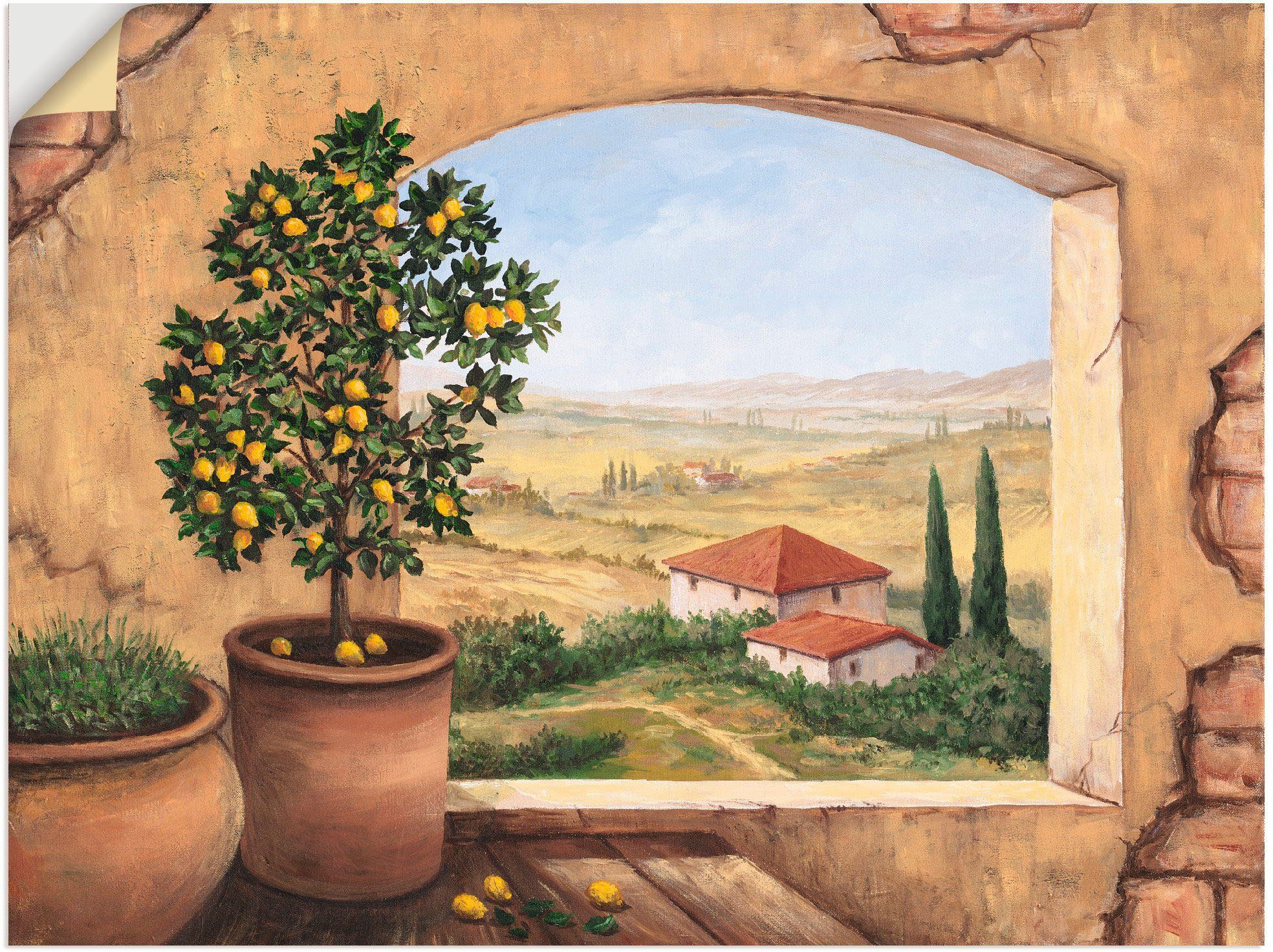Artland Wandbild "Fenster in der Toskana", Fensterblick, (1 St.), als Alubi günstig online kaufen