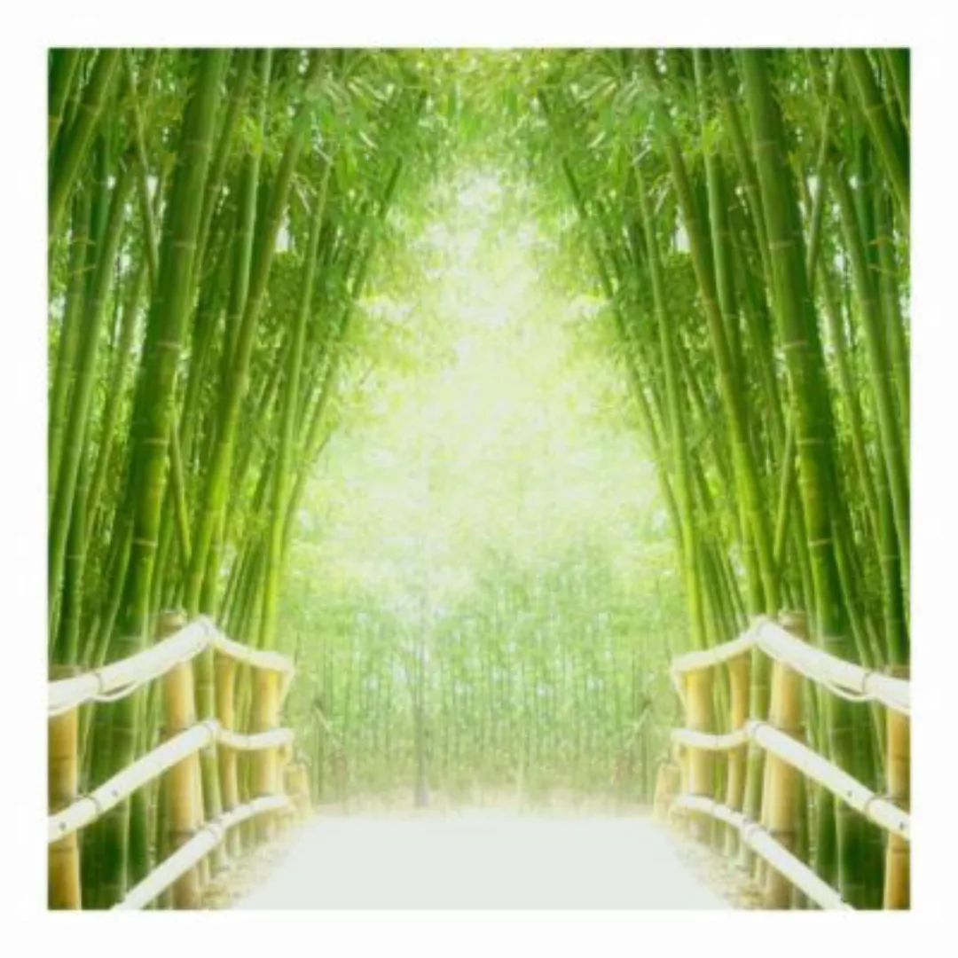Bilderwelten Fototapete Bamboo Way grün Gr. 240 x 240 günstig online kaufen