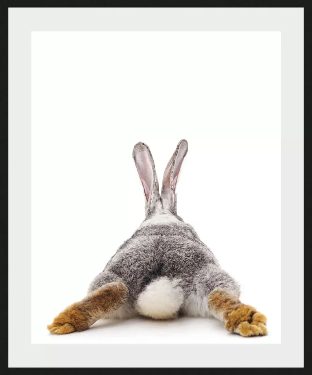 queence Bild "Bunny Tail", Hase, (1 St.), Poster, gerahmt, niedlich, Pusche günstig online kaufen