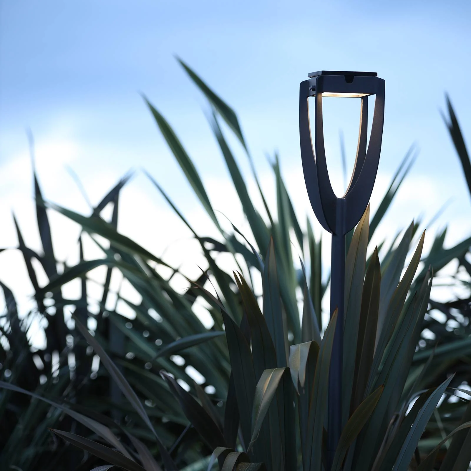 LED-Solarleuchte Tulip mit Erdspieß, anthrazit günstig online kaufen