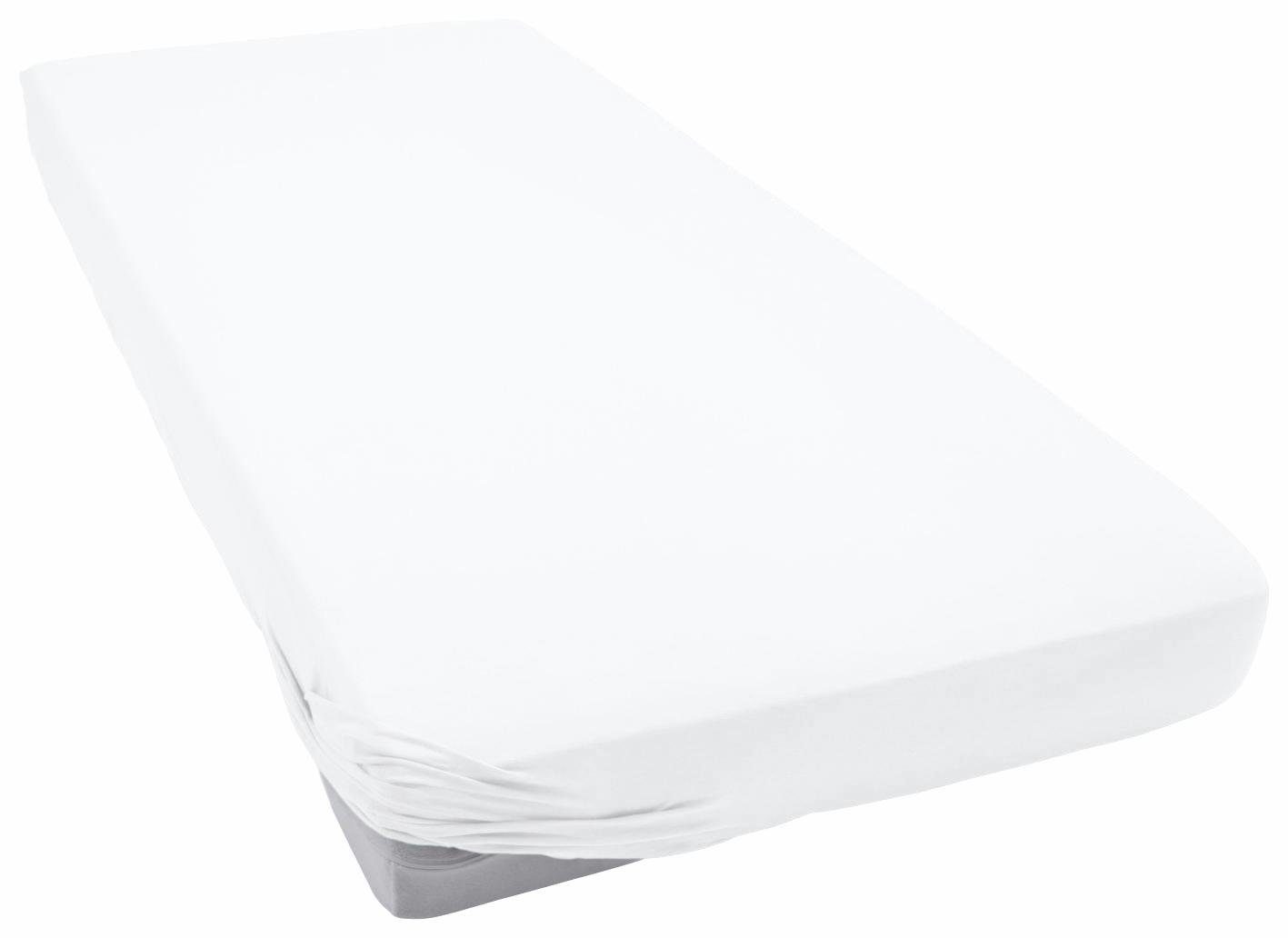 Primera Spannbettlaken Elasthan-Feinjersey Boxspring, Jersey-Elasthan, Gumm günstig online kaufen