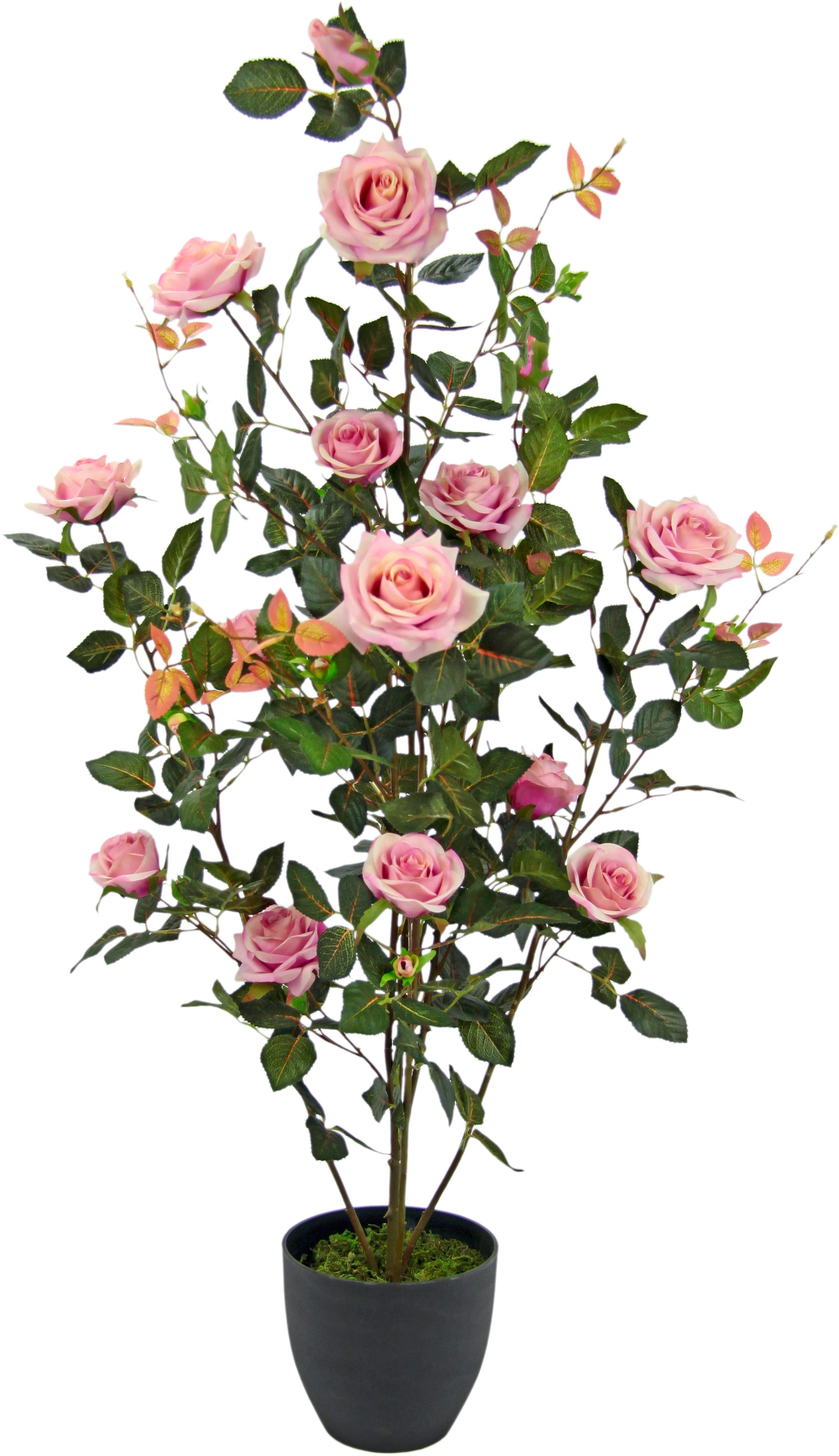 Kunstbaum Rosenbusch im Topf, I.GE.A., Höhe günstig online kaufen