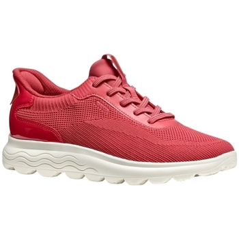 Geox  Sneaker D Spherica Plus sneaker günstig online kaufen