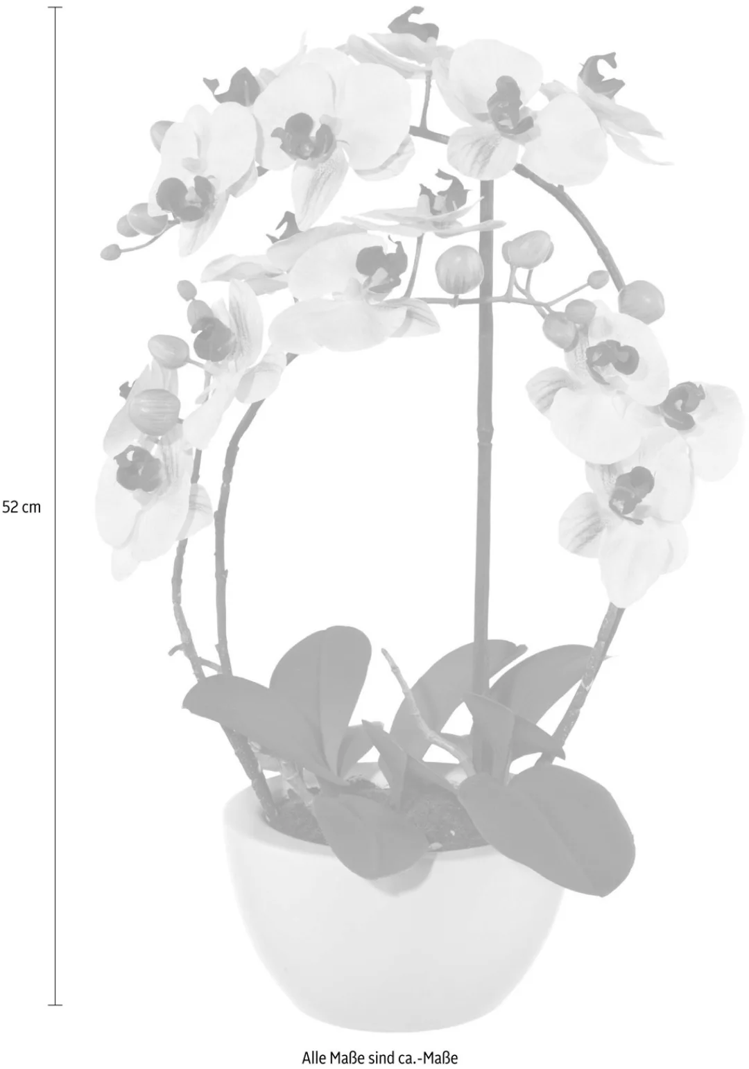 Kunstpflanze Phalaenopsis Orchidee, Creativ green, Höhe günstig online kaufen