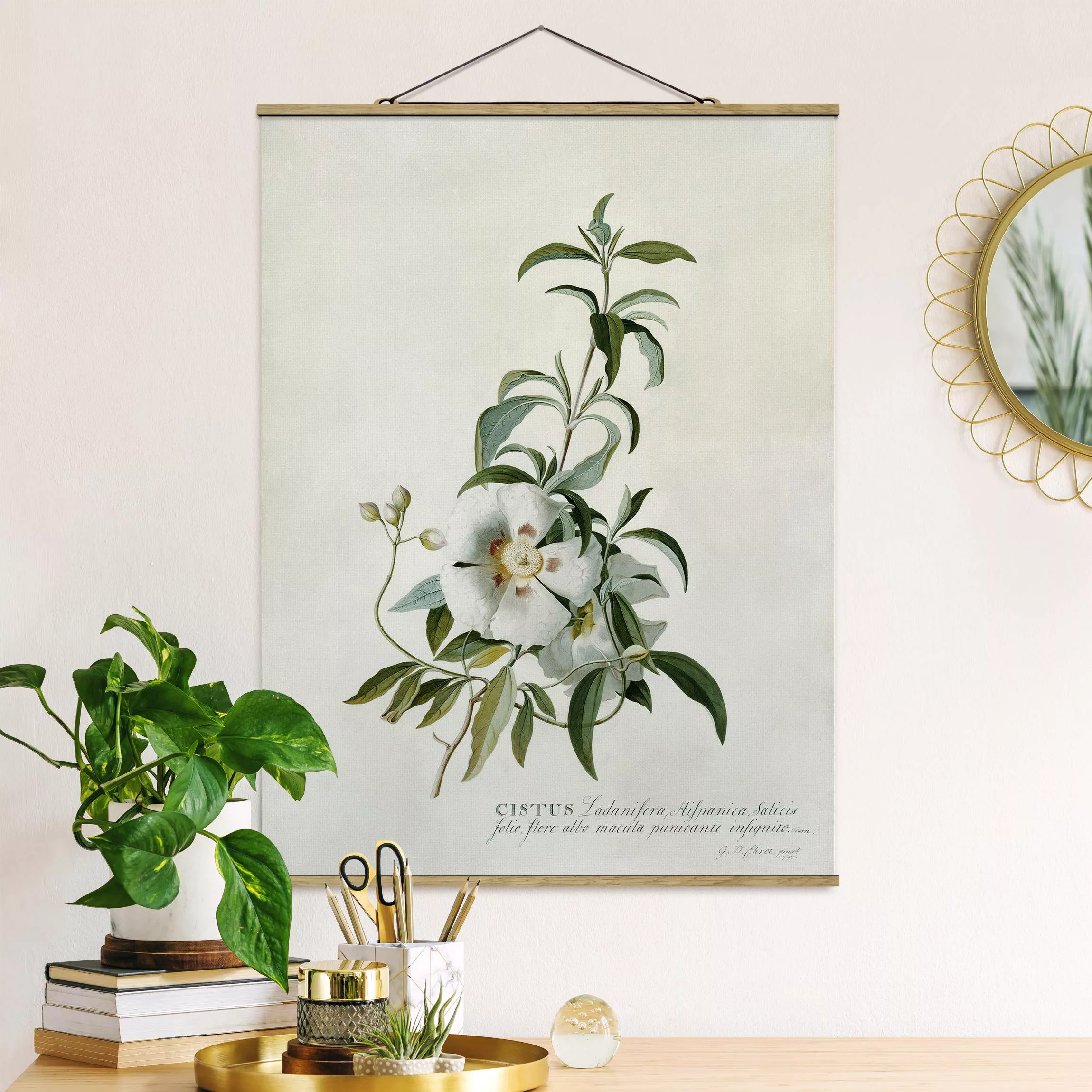Stoffbild Blumen mit Posterleisten - Hochformat Georg Dionysius Ehret - Zis günstig online kaufen