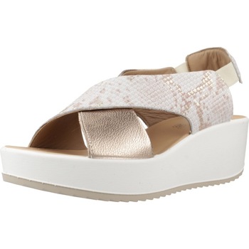 IgI&CO  Sandalen 7665755IG günstig online kaufen