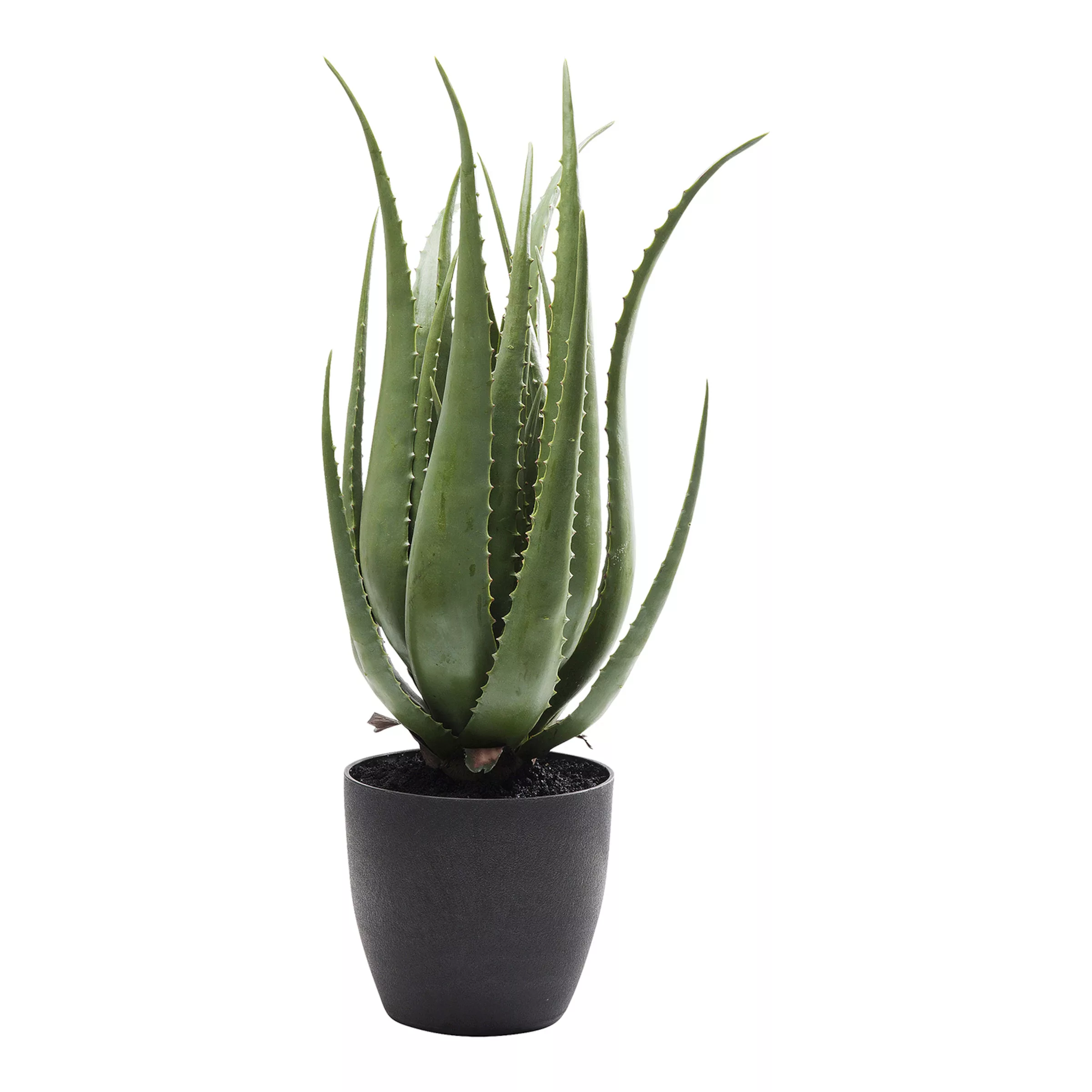 Deko Pflanze Aloe 69cm günstig online kaufen