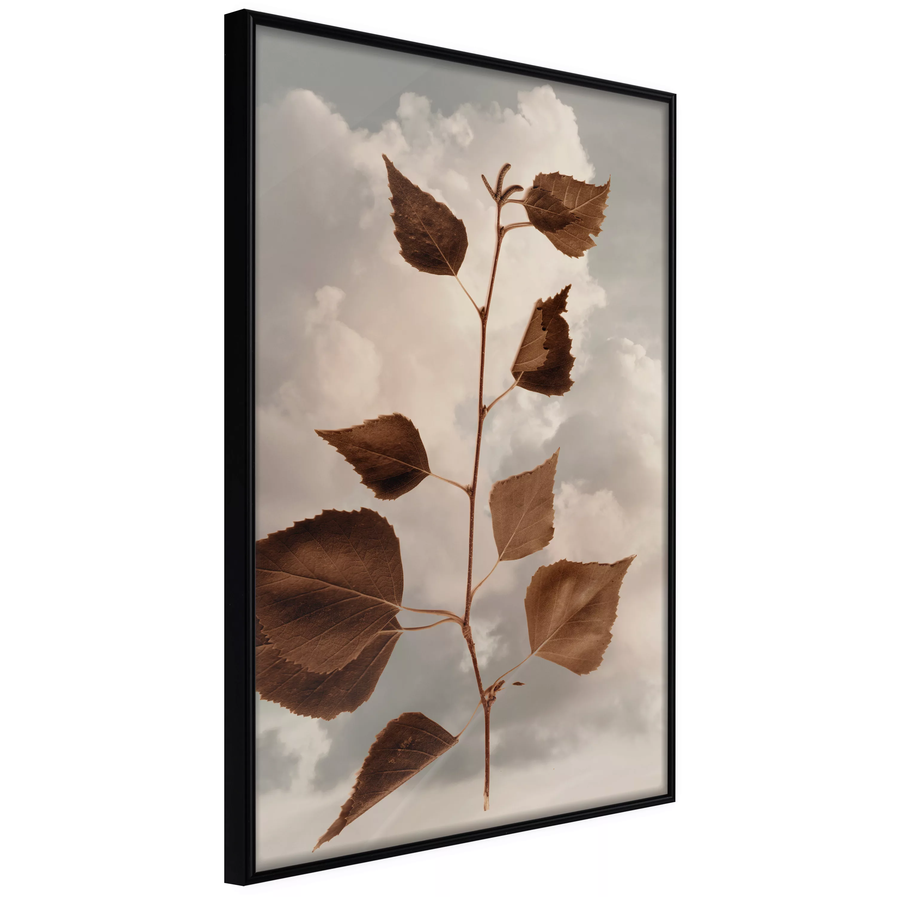 Poster - Leaves In The Clouds günstig online kaufen