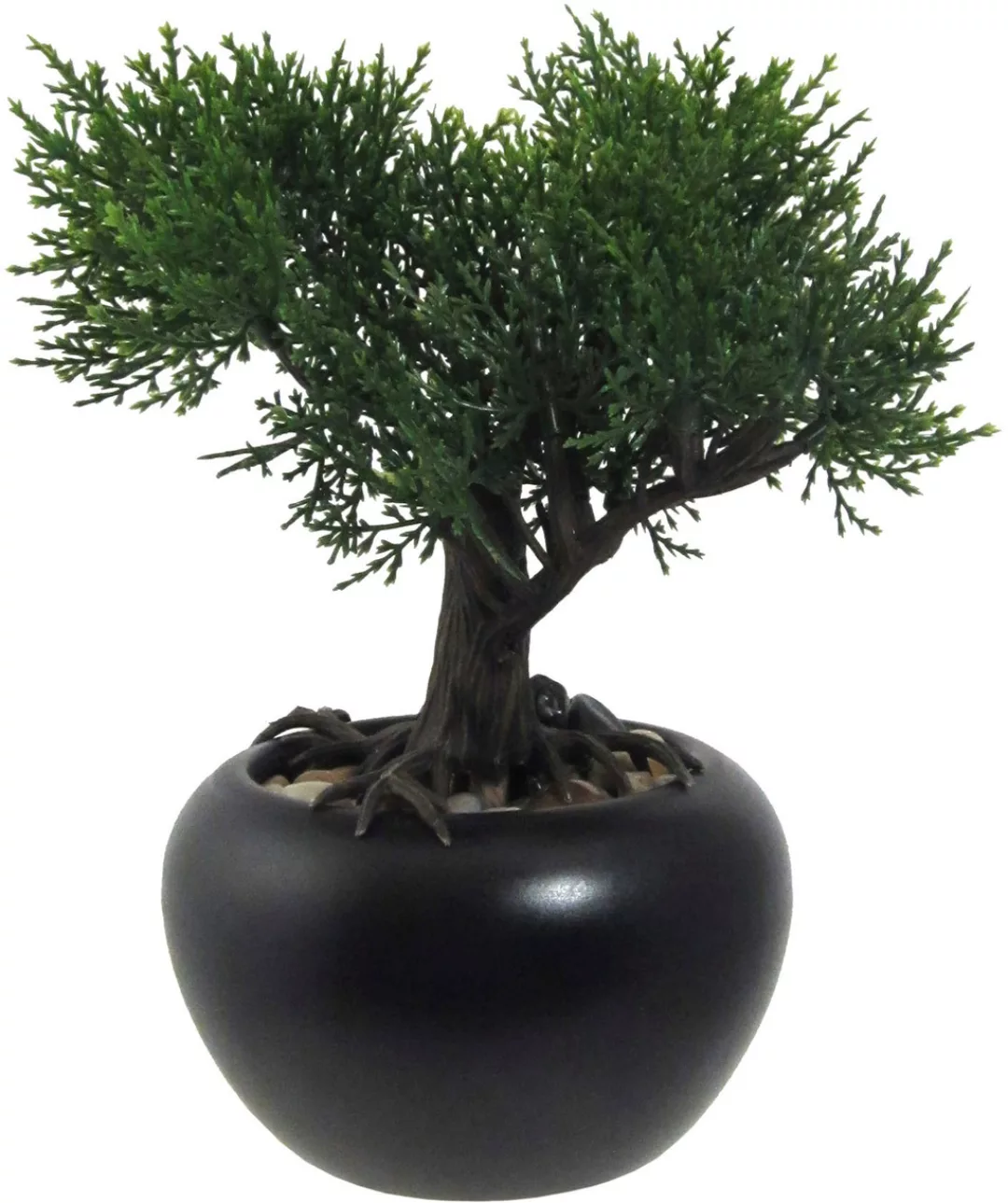 Creativ green Kunstbonsai "Bonsai Kiefer und Zeder", mit Kies günstig online kaufen