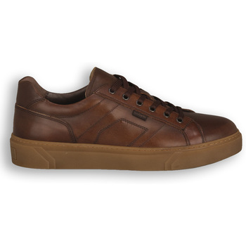 NeroGiardini  Sneaker NERO GIARDINI 412 DELAVATO BEIGE günstig online kaufen