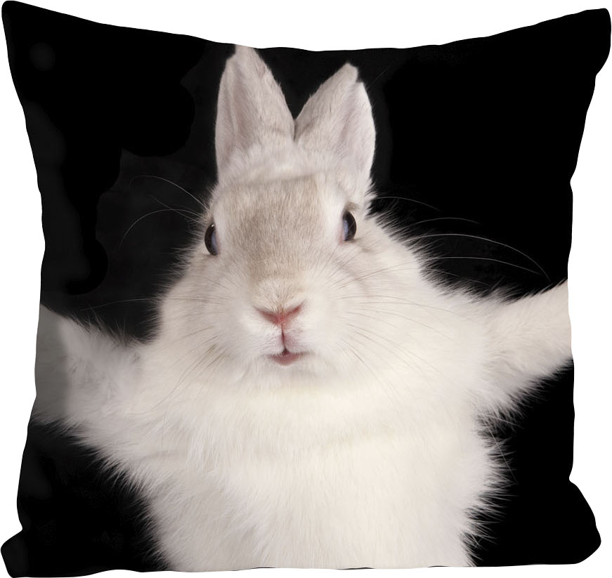 queence Dekokissen »Hugging Bunny«, mit einem kuschelbedürftigen Hasen, Kis günstig online kaufen