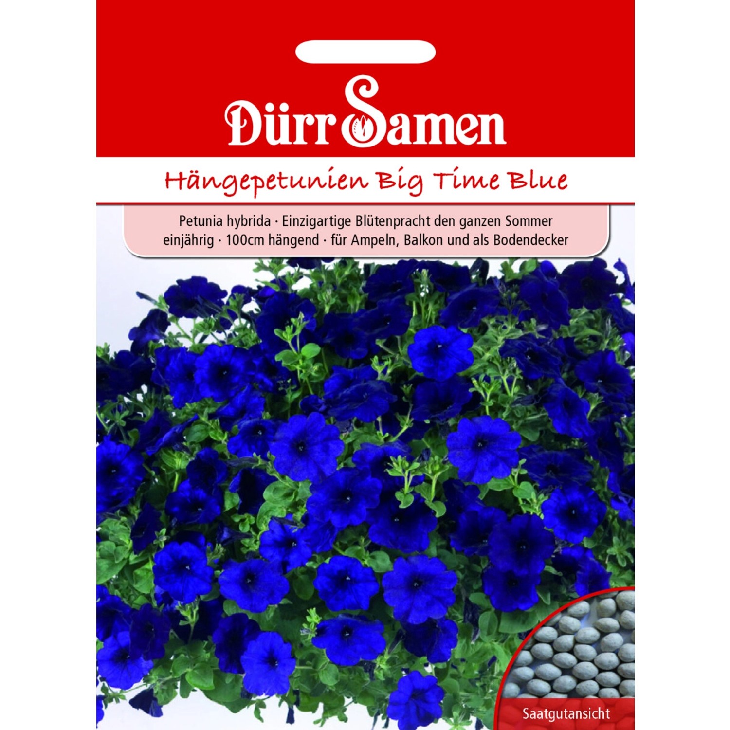Dürr Samen Petunien Big Time Blue Dunkelblau Einjährig Saatgut günstig online kaufen