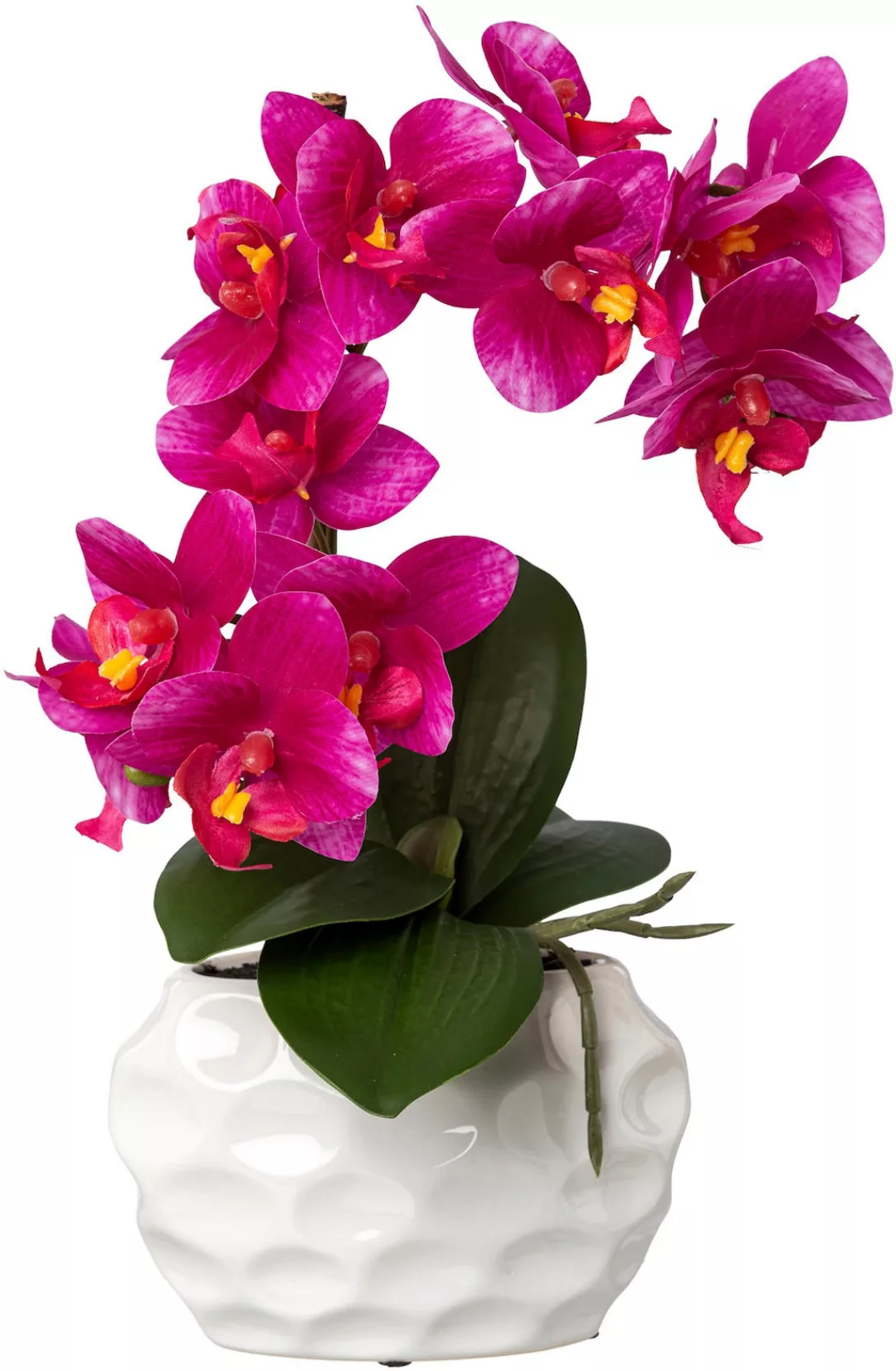 Creativ green Kunstorchidee "Deko-Orchidee Phalaenopsis im Keramiktopf" günstig online kaufen