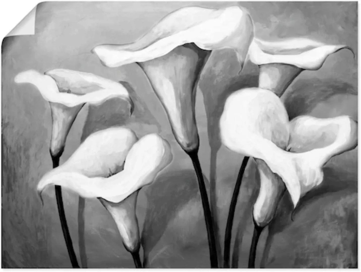 Artland Wandbild »Callas II«, Blumen, (1 St.) günstig online kaufen