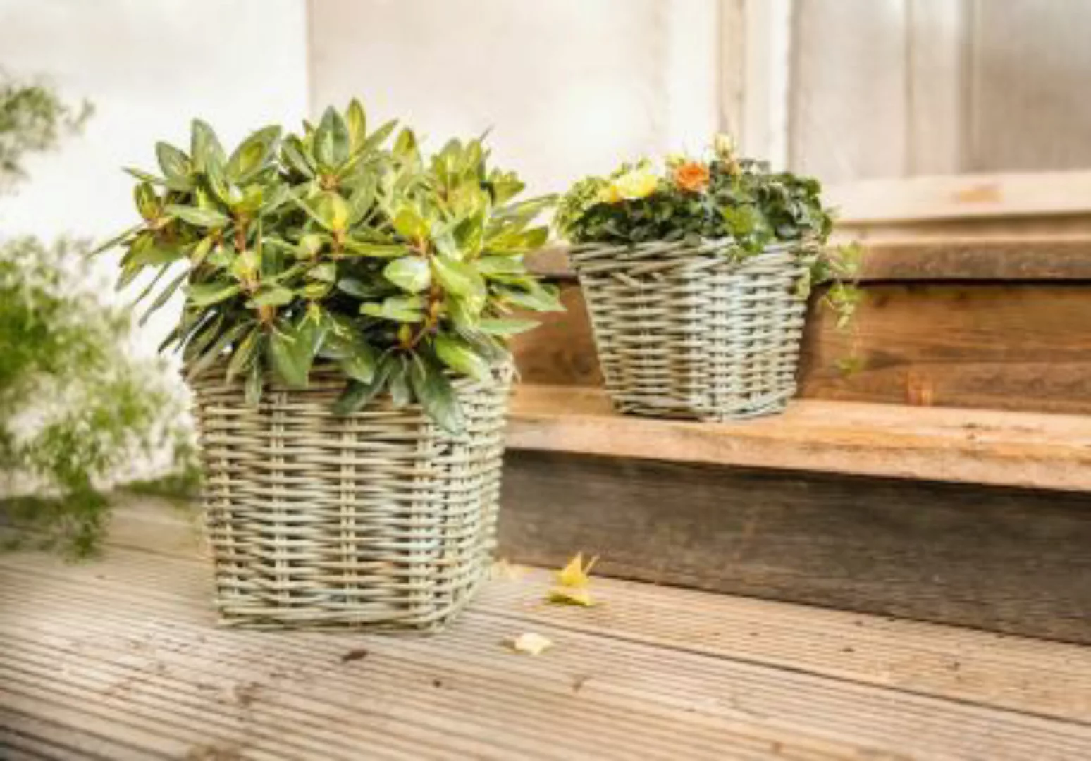 HOME Living Pflanzer Rattan Blumentöpfe grau günstig online kaufen