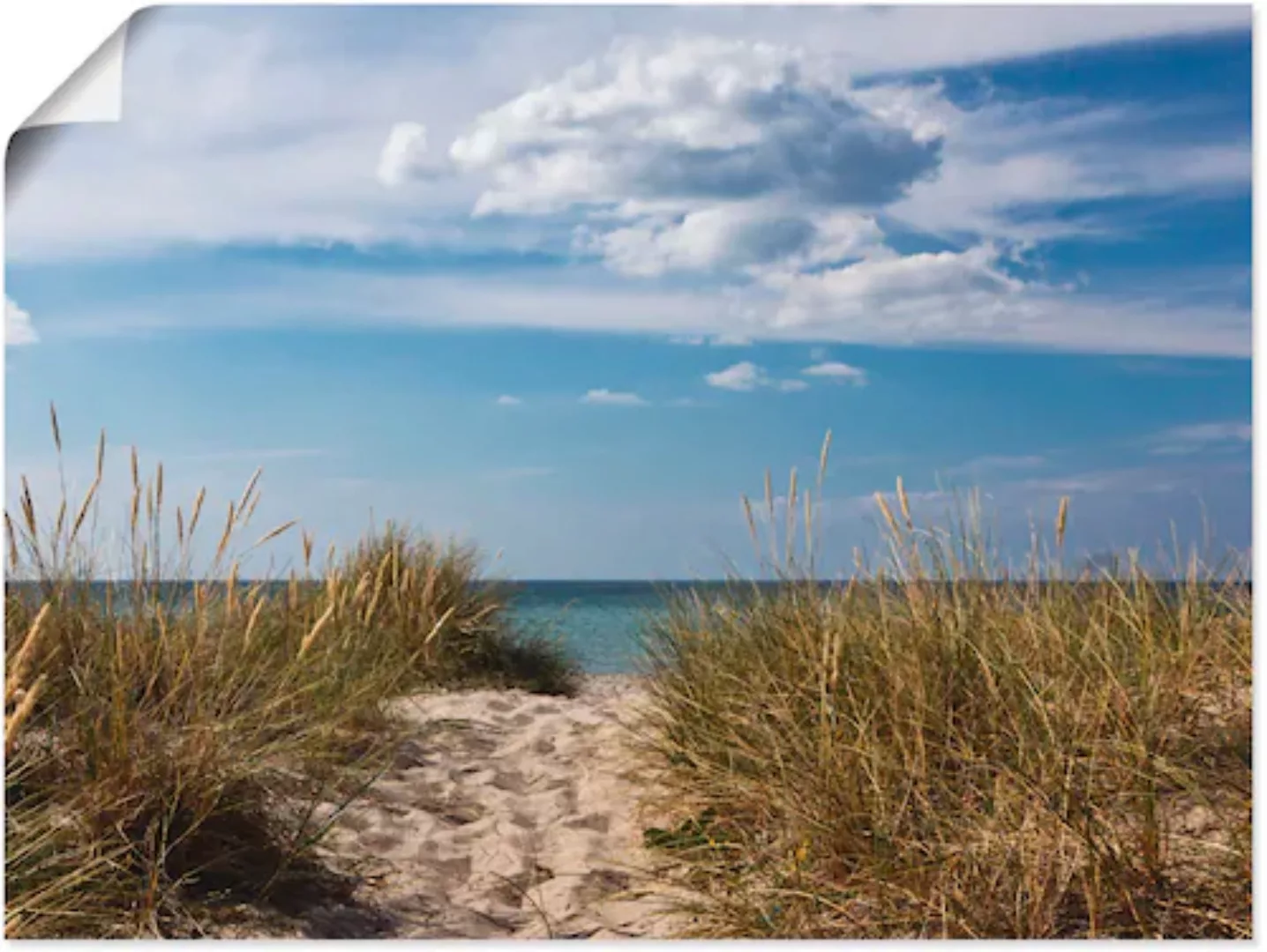 Artland Wandbild »Ostseestrand in Dänemark«, Strand, (1 St.), als Leinwandb günstig online kaufen