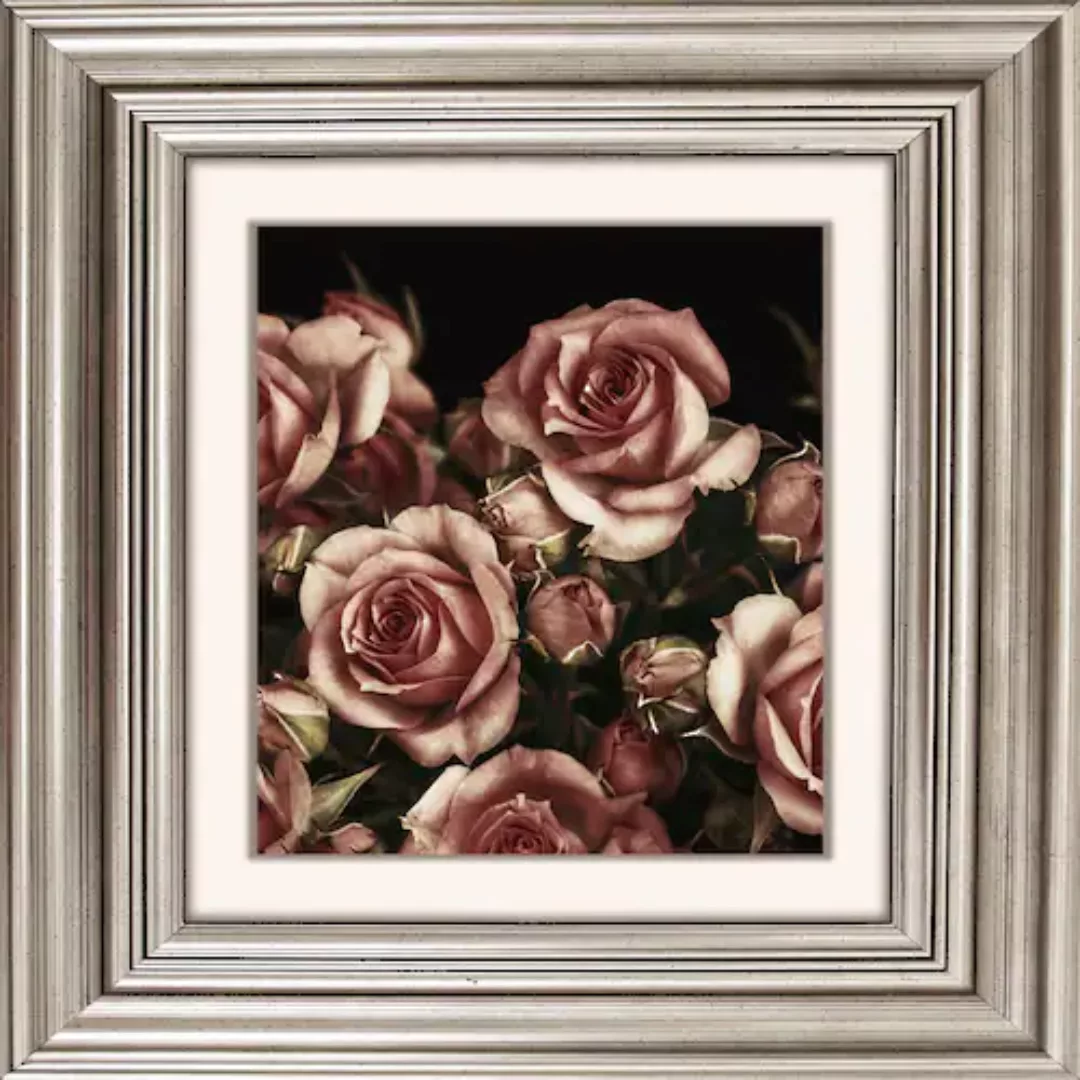 queence Acrylglasbild »Rosen Blüten« günstig online kaufen