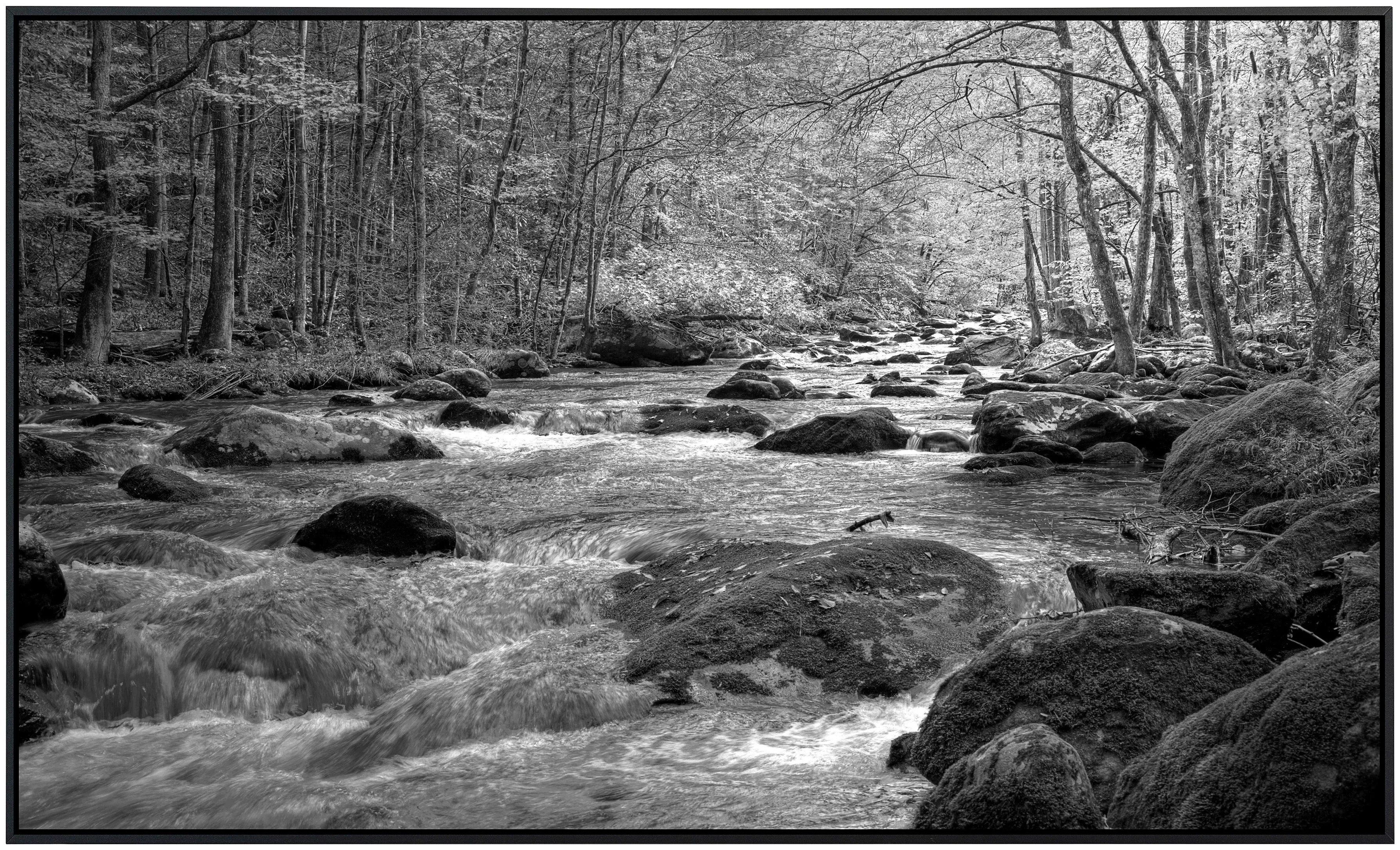 Papermoon Infrarotheizung »Fluss im Wald Schwarz & Weiß«, sehr angenehme St günstig online kaufen