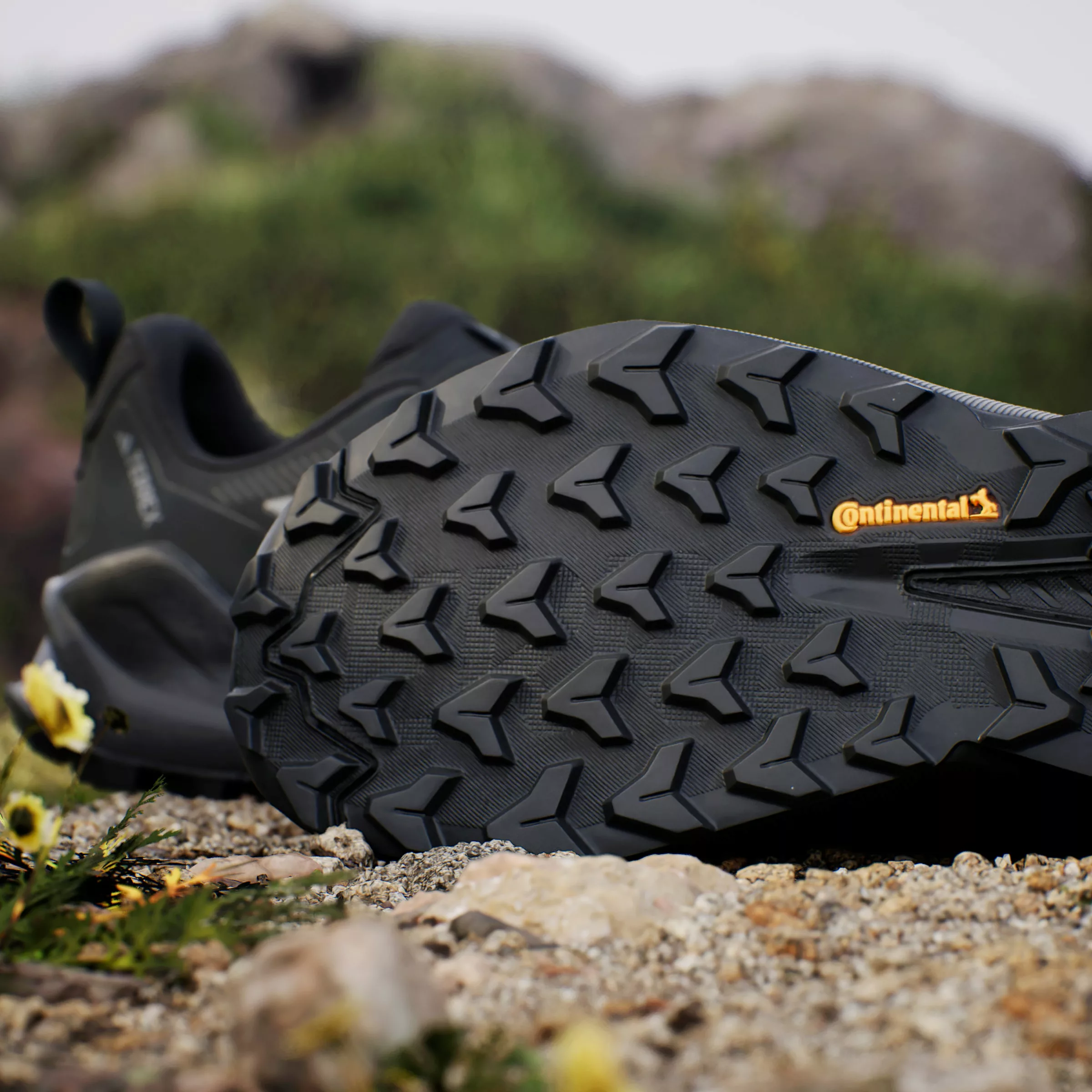 adidas TERREX Wanderschuh "TRAILMAKER 2 GORE-TEX", wasserdicht günstig online kaufen