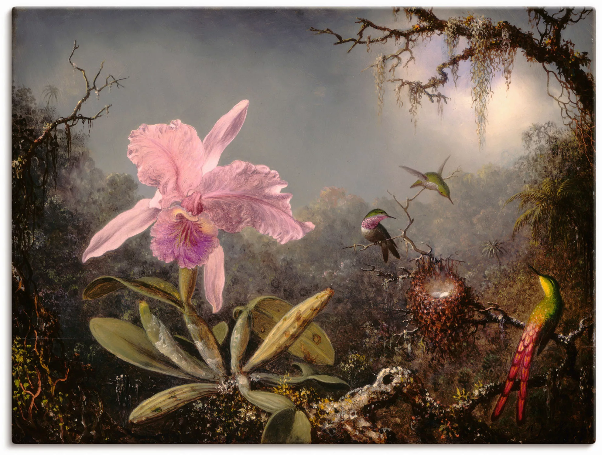 Artland Wandbild »Cattleya Orchidee und drei Kolibris.«, Blumenbilder, (1 S günstig online kaufen