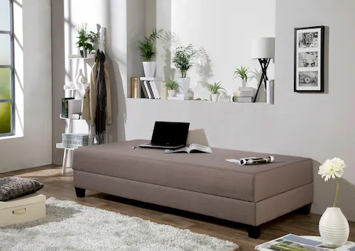 Maintal Gästebett mit Bettkasten günstig online kaufen
