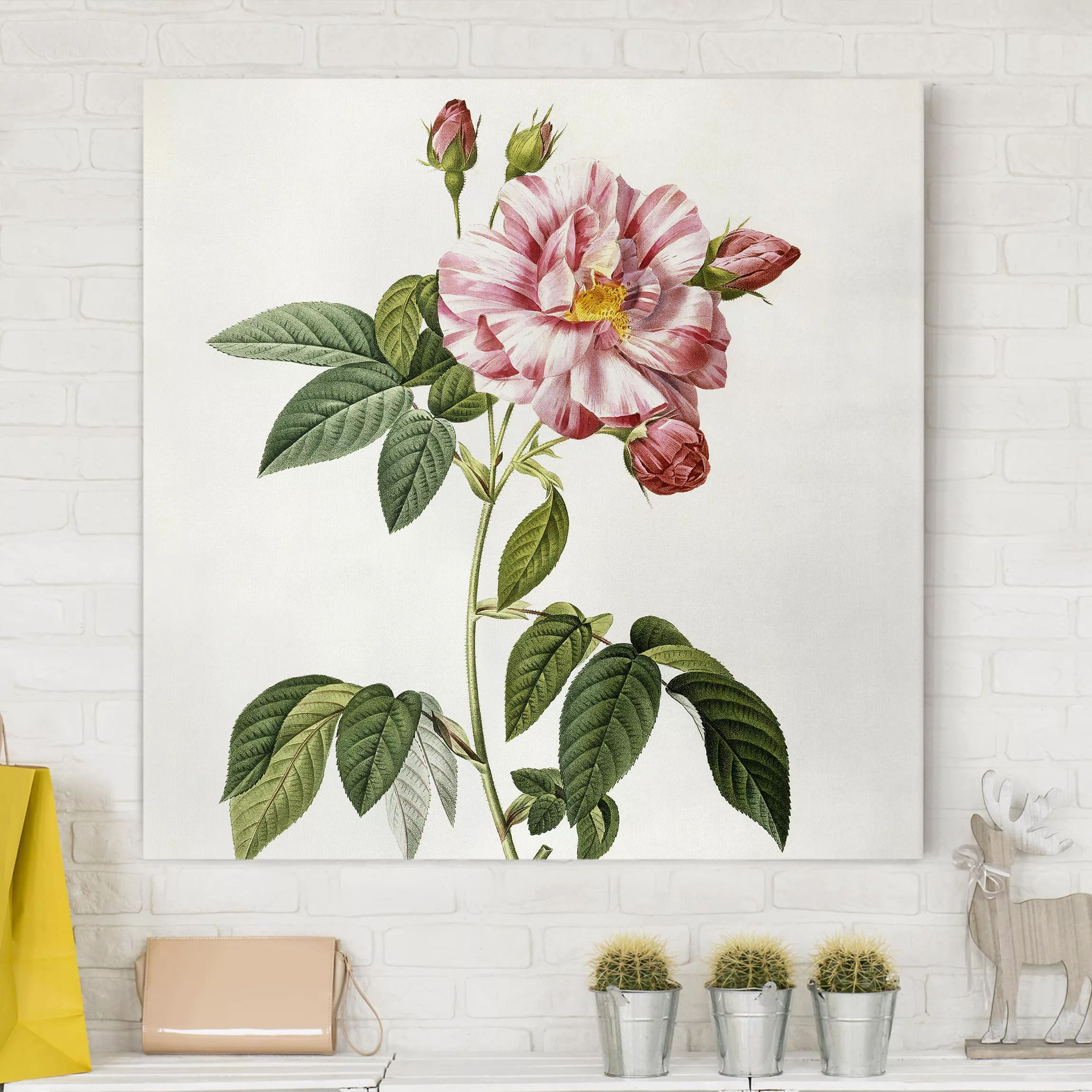 Leinwandbild Blumen - Quadrat Pierre Joseph Redouté - Rosa Gallica-Rose günstig online kaufen