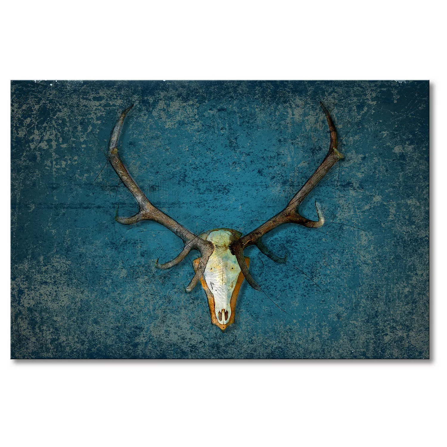 home24 Wandbild Deer Head günstig online kaufen