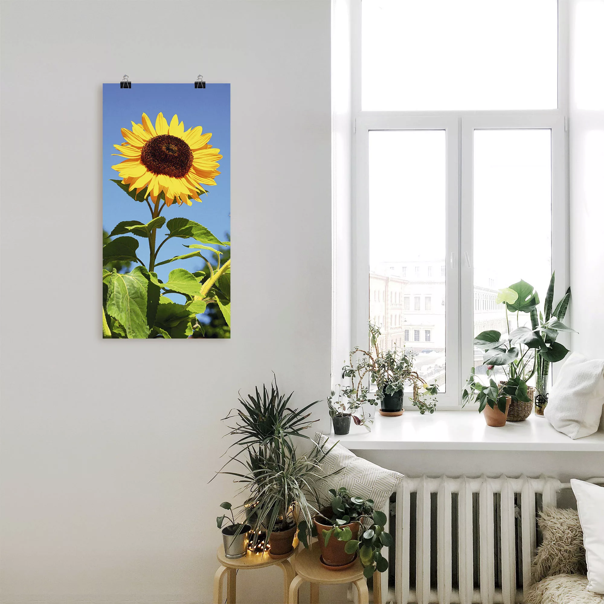 Artland Wandbild "Sonnenblume", Blumen, (1 St.), als Alubild, Outdoorbild, günstig online kaufen