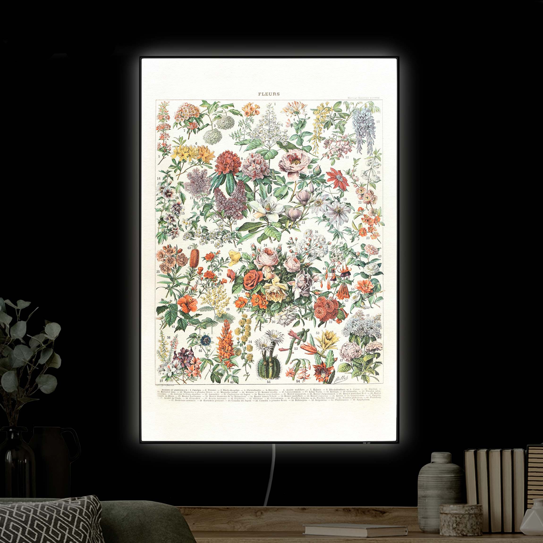 LED-Wechselbild Vintage Lehrtafel Blumen II günstig online kaufen