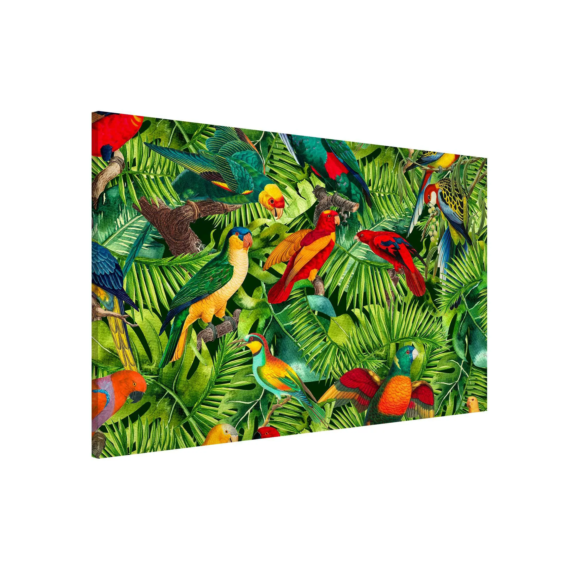Magnettafel Bunte Collage - Papageien im Dschungel günstig online kaufen