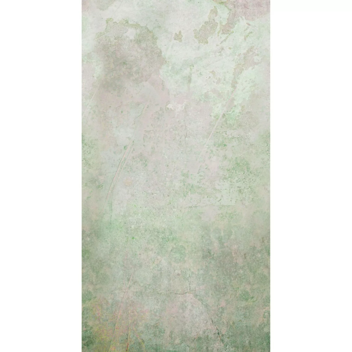 Art for the Home Fototapete Pure nature faded 280 x 150 cm günstig online kaufen