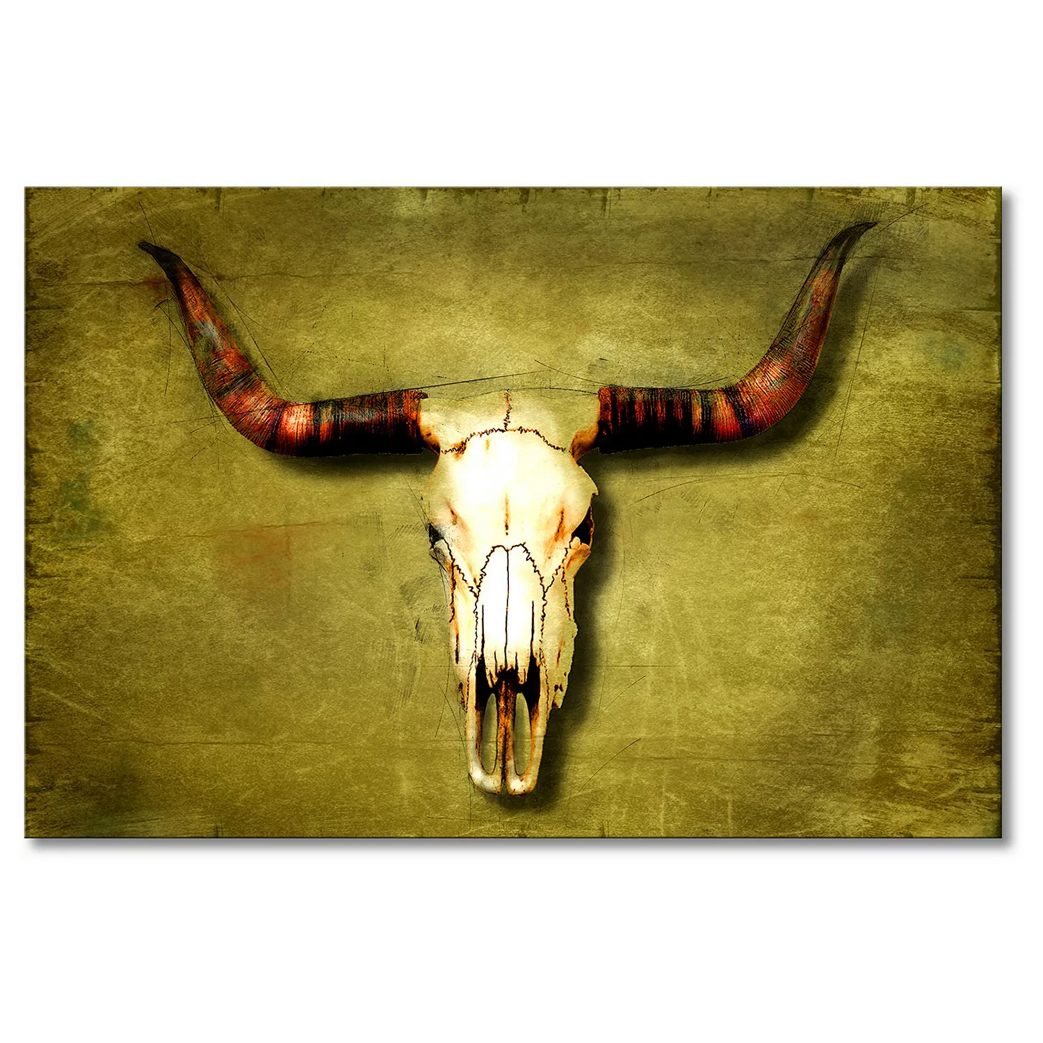 home24 Leinwandbild Buffalo Bull günstig online kaufen